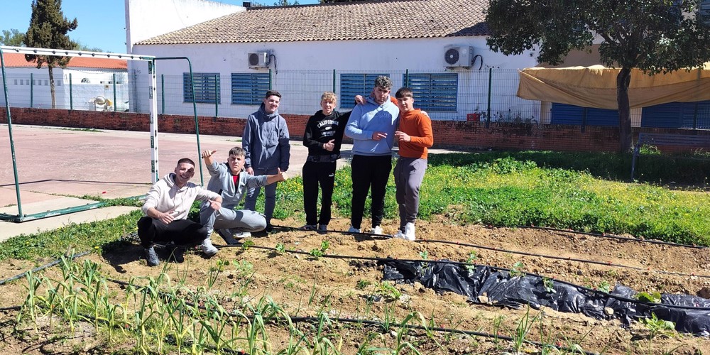 653061643 4291933294395983 8181177906824341433 N