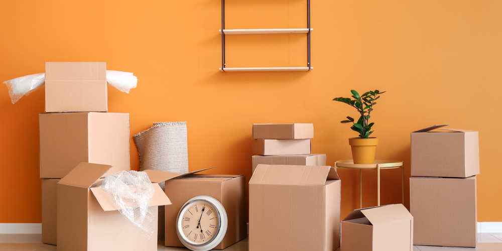 Adobestock 313487671