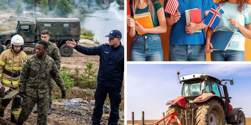 Blå Strand Enkel Collage Facebook Opslag